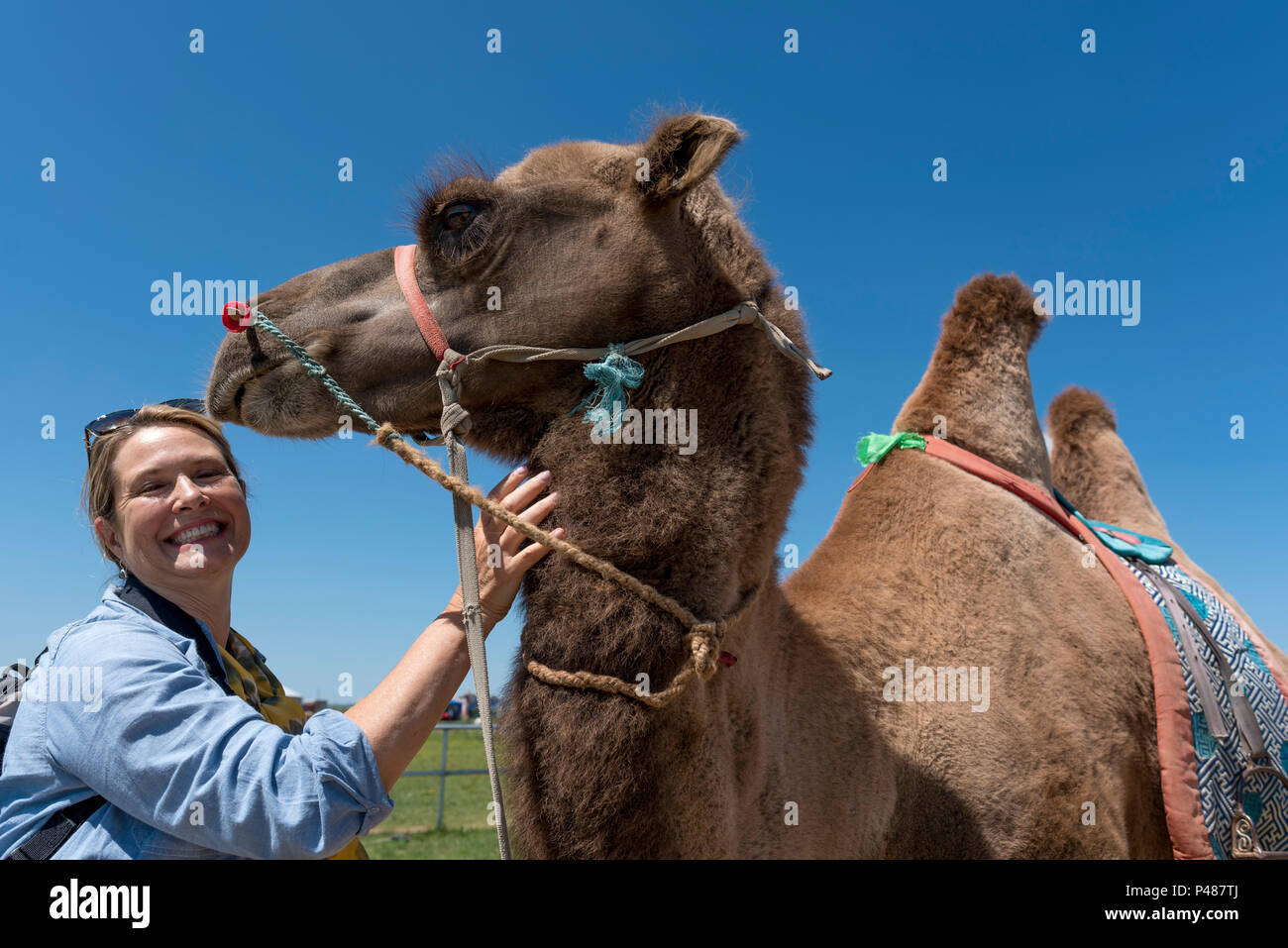 Un touriste américain répond à un chameau au Khan Mongol City Cultural Torism Resort, Xiwuzhumuginqi, Mongolie intérieure, Chine Banque D'Images