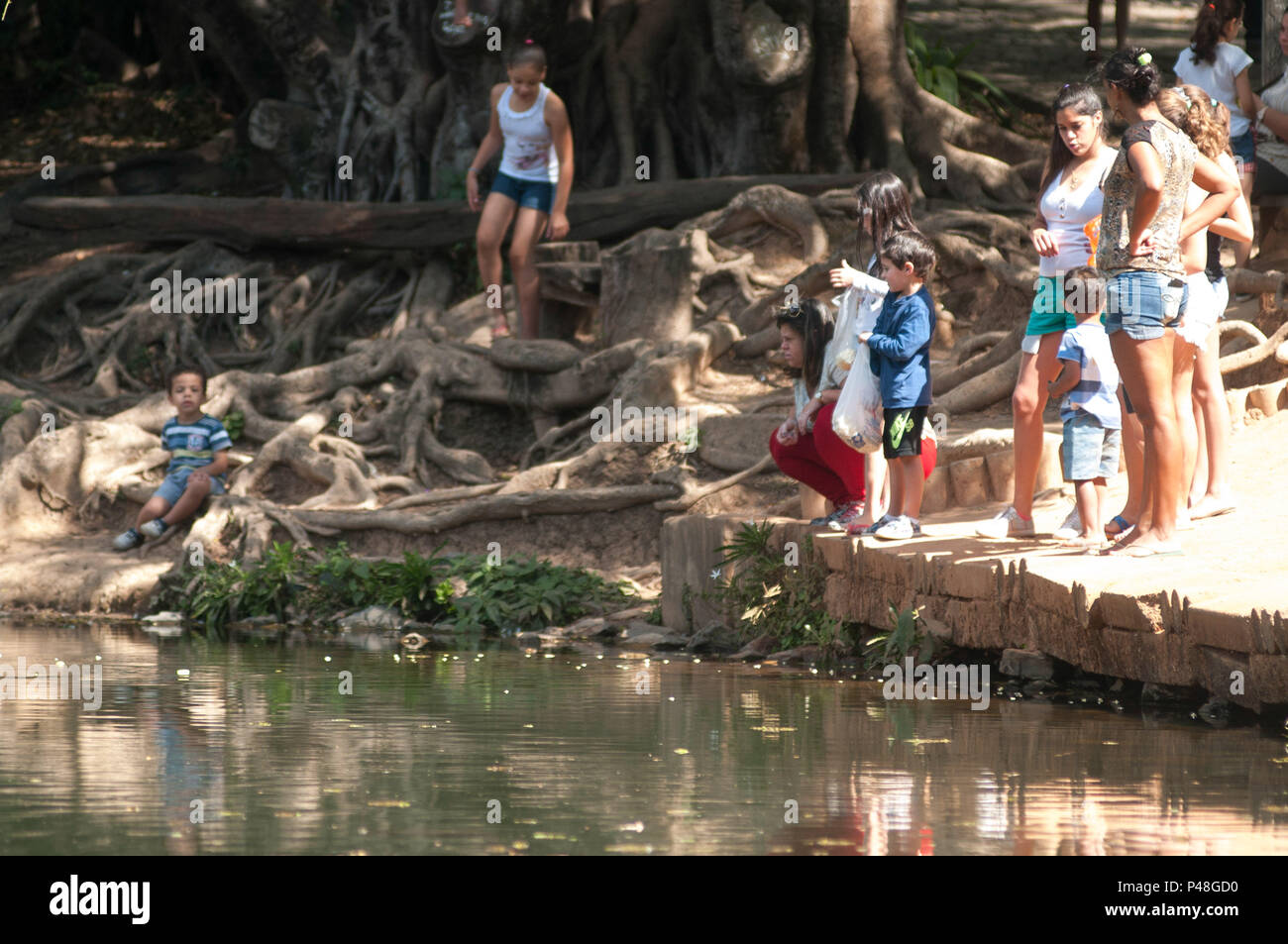 BELO HORIZONTE, MG - 23.07.2015 : Parque Ecolôgico Lagoa do Nado - Região  da Pampulha - BH - MG. (Foto : Mourão / Fotoarena Panda Photo Stock - Alamy