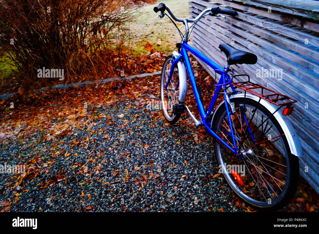 Old bike bleu Banque D'Images