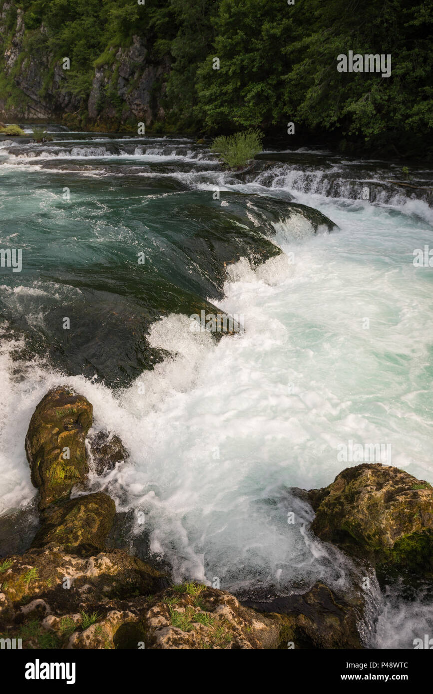 Strback buki, Doljani, Bihać, d'Una-Sana, Fédération de Bosnie-et-Herzégovine, Bosnie-Herzégovine Banque D'Images