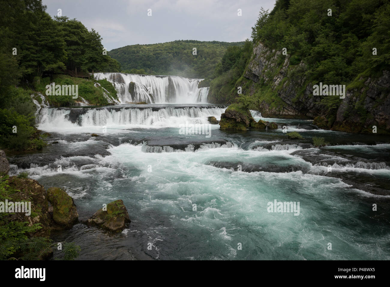 Strback buki, Doljani, Bihać, d'Una-Sana, Fédération de Bosnie-et-Herzégovine, Bosnie-Herzégovine Banque D'Images