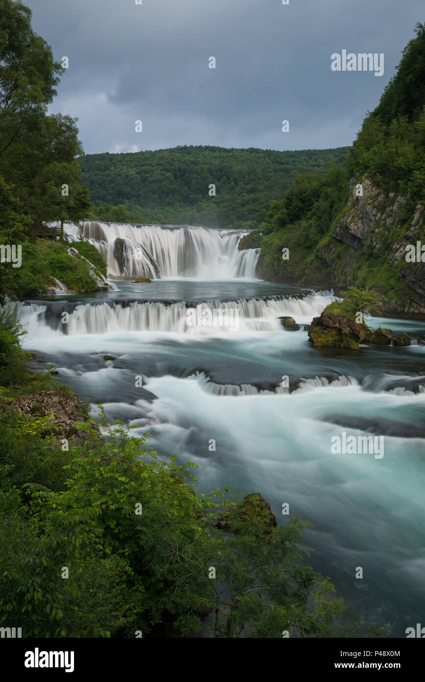 Strback buki, Doljani, Bihać, d'Una-Sana, Fédération de Bosnie-et-Herzégovine, Bosnie-Herzégovine Banque D'Images