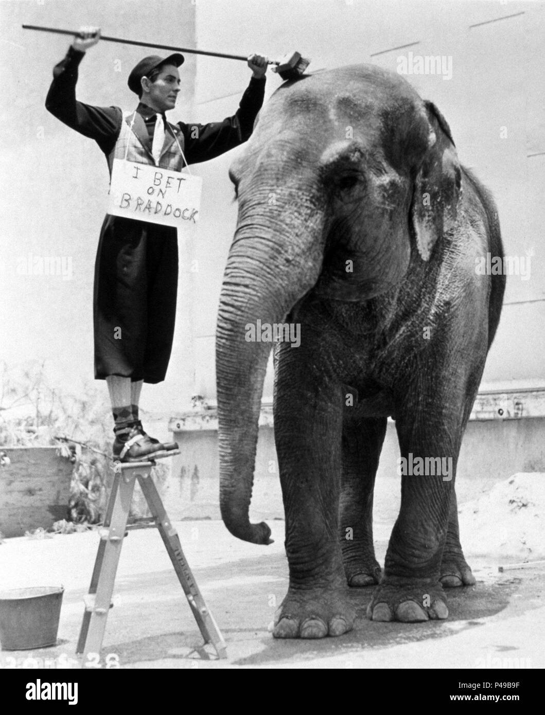 Stars : TYRONE POWER. Banque D'Images