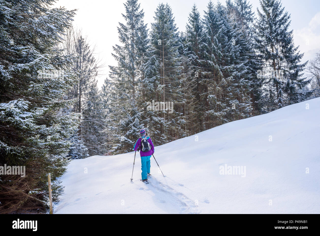 Randonneur en raquettes sur le sentier de neige en hiver paysage de forêt à Oberstdorf, en Bavière dans les Alpes au sud de l'Allemagne. Beau paysage avec les conifères Banque D'Images