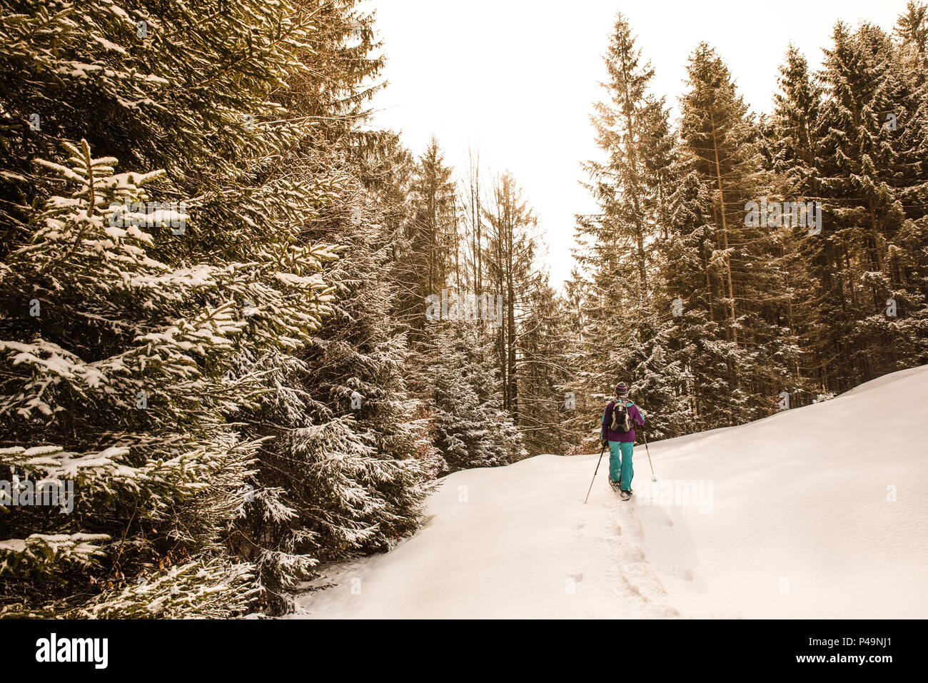 Femme est randos avec raquettes à neige en hiver sentier paysage de forêt à Oberstdorf, en Bavière dans les Alpes au sud de l'Allemagne. Beau paysage avec c Banque D'Images