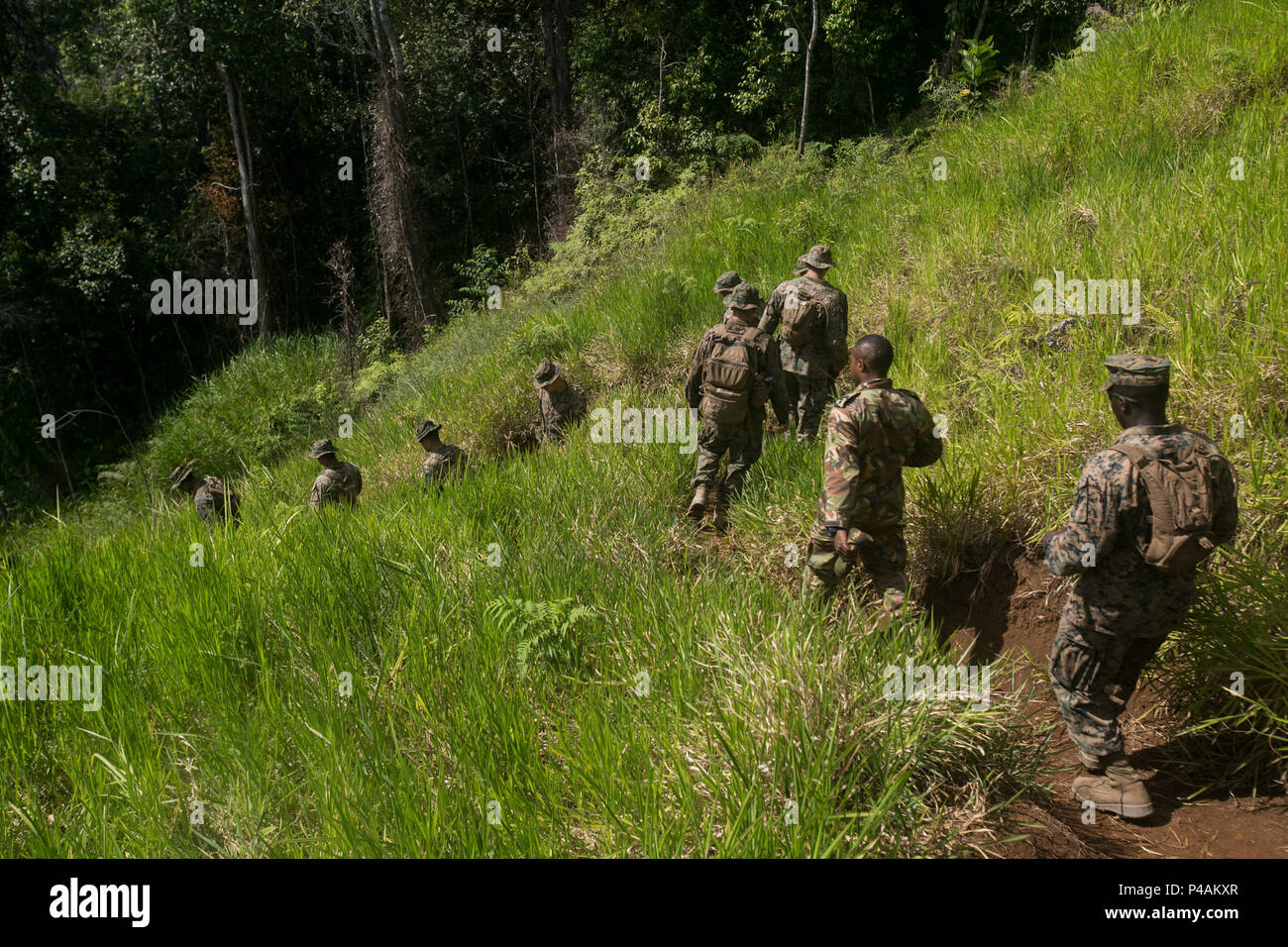 Piste de kokoda Banque de photographies et d’images à haute résolution