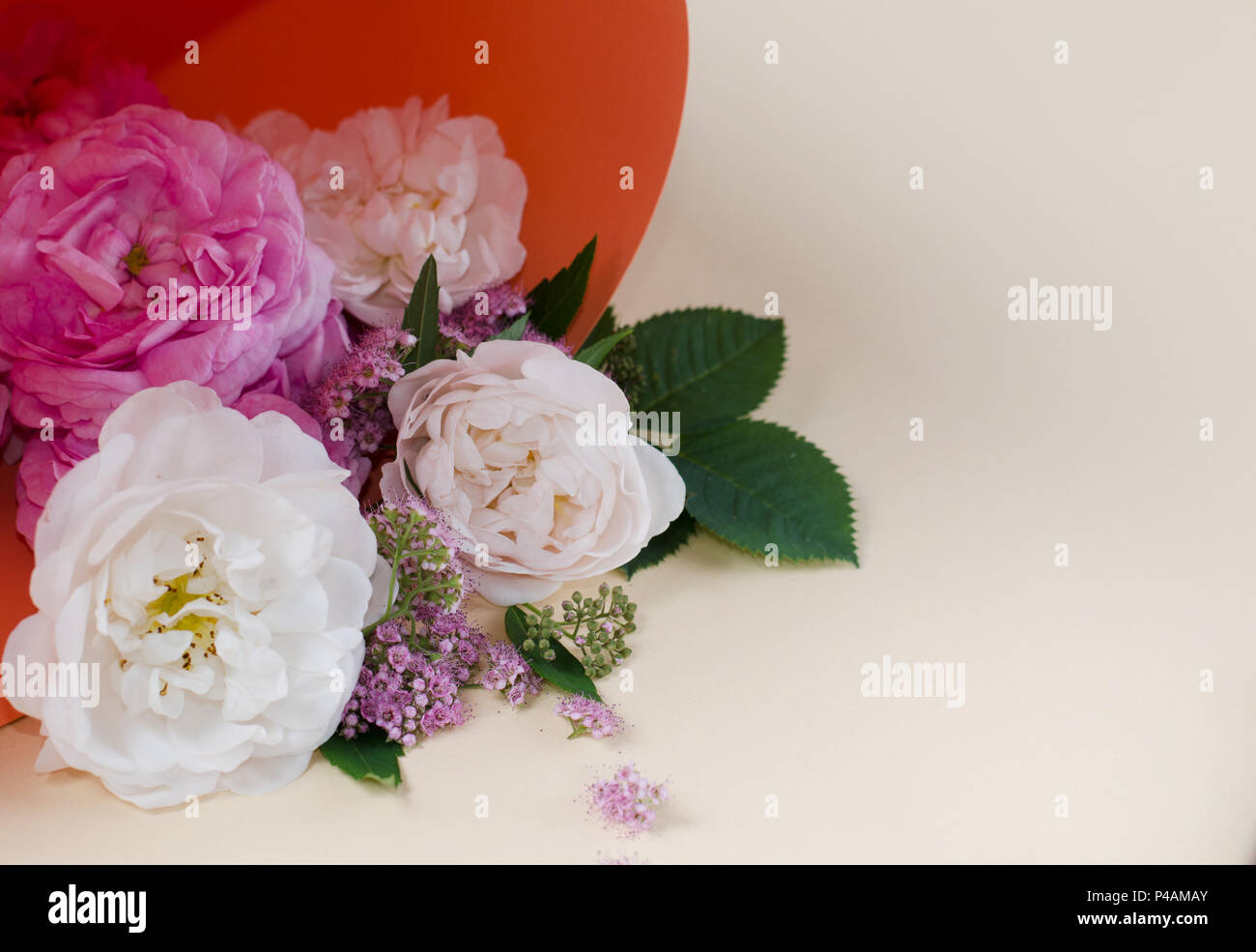 Vivre Roses Cadre Beau Floral Background Modele De Carte De Vacances De Printemps A L Espace De Creation De Texte Photo Stock Alamy Vivre Roses Cadre Beau Floral Background Modele De Carte De Vacances De Printemps A L Espace De Creation De Texte Photo Stock Alamy