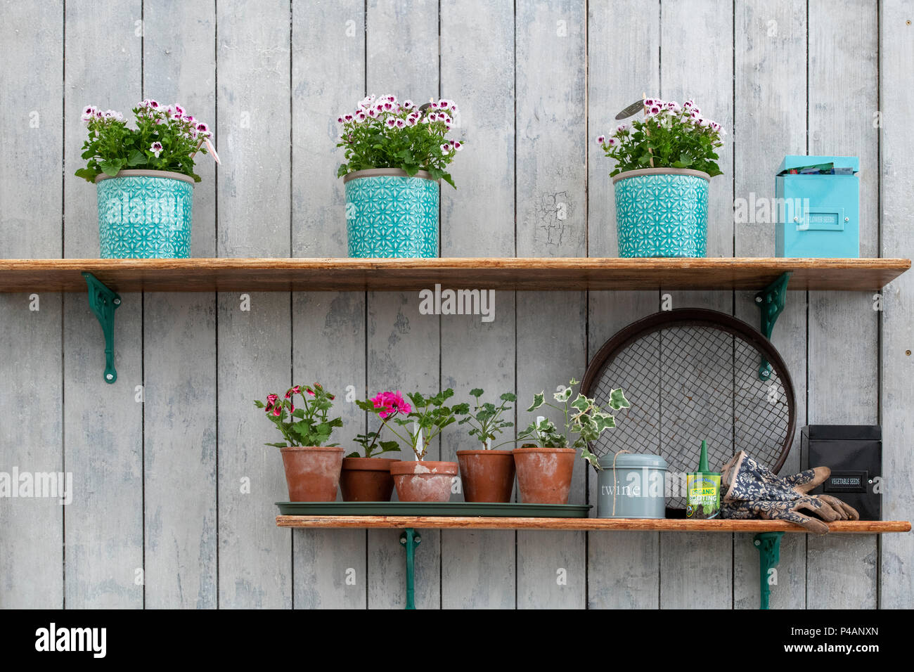 Jardinage pots de fleurs et d'objets sur des étagères à un flower show. UK Banque D'Images
