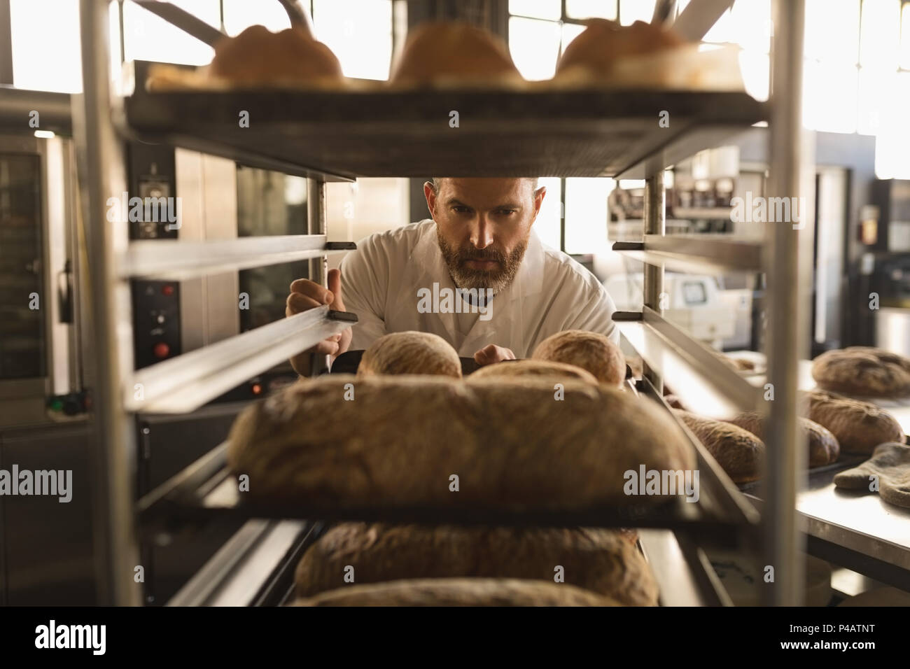 Male baker working in baker shop Banque D'Images