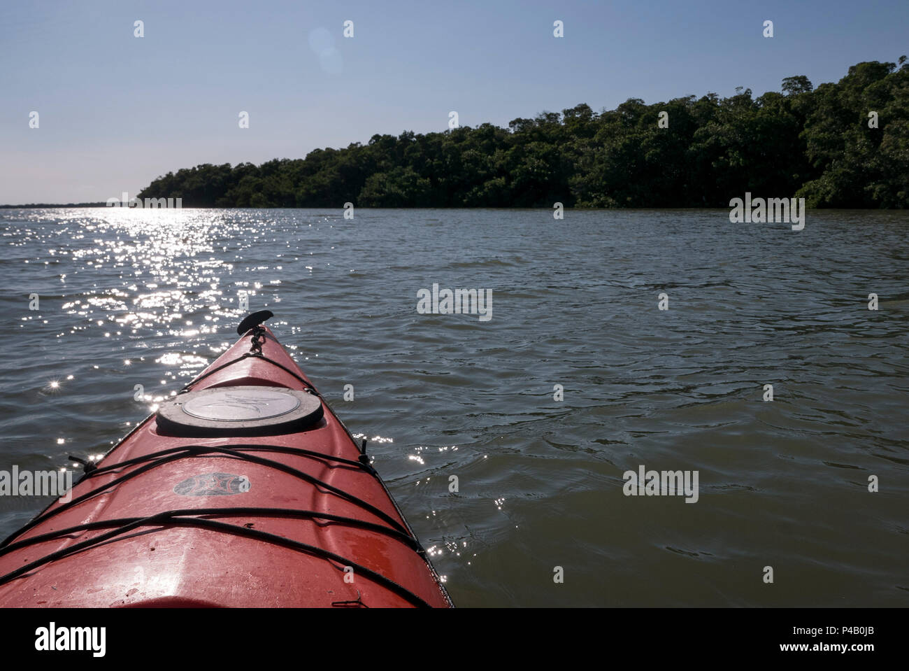 Kayak glisse à travers la baie de Floride, le Parc National des Everglades, Miami, Floride, USA Banque D'Images