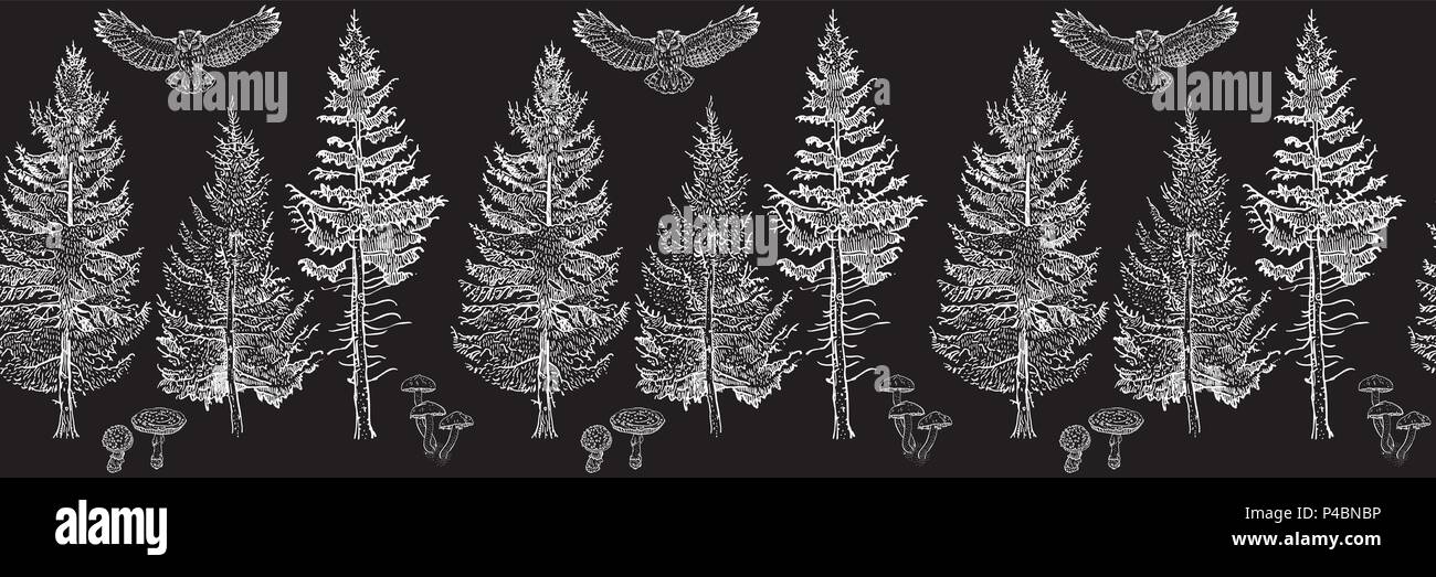 Foret Frontiere Permeable Nuit Ornement Sapins Champignons Hibou Modele Horizontal Sans Fin Pinceau Des Elements Isoles D Invitation Carte De Voeux Dessin Affiche Impression Textile La Decoration Image Vectorielle Stock Alamy