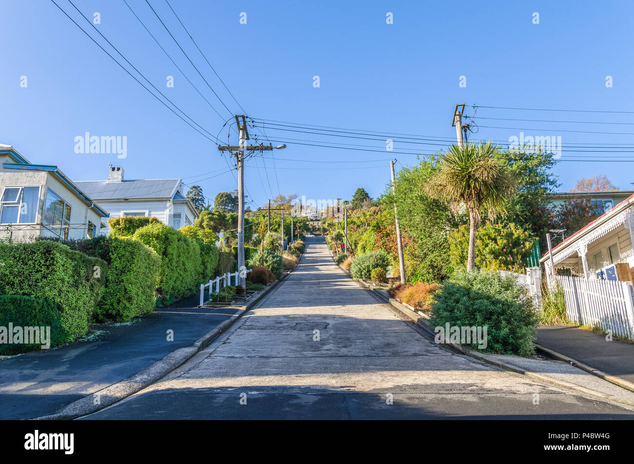 Baldwin Street, qui est situé à Dunedin, Nouvelle-Zélande est le monde de la rue la plus raide au monde. Banque D'Images