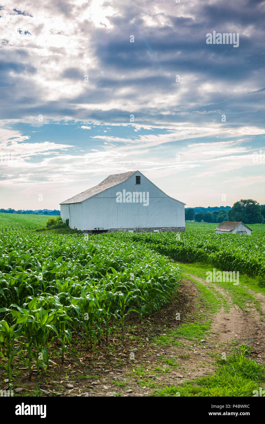 USA, Ohio, Pennsylvania Dutch Country, Ronks, ferme Banque D'Images