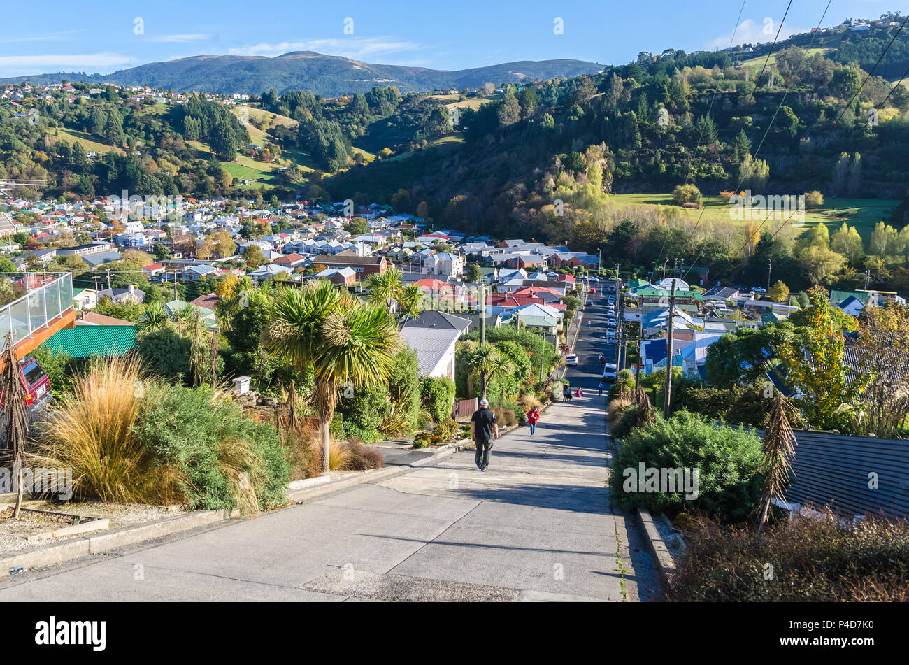 Baldwin Street, qui est situé à Dunedin, Nouvelle-Zélande est le monde de la rue la plus raide au monde. Banque D'Images