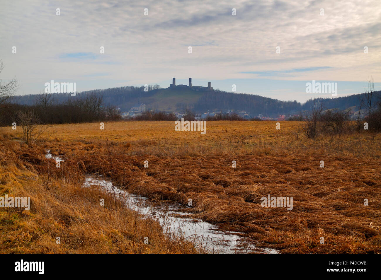 Spring meadows avec Checiny Château Royal (à partir de la fin du 13e siècle) sur l'arrière-plan. La Pologne, Checiny, la Sainte Croix les montagnes. Banque D'Images