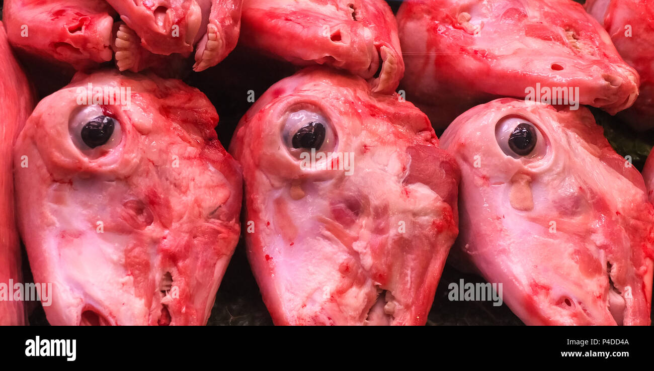Les têtes de moutons sur l'affichage dans un marché de Barcelone. dans un refridgerater tous vers le bas avec trois yeux bien en vue dans l'image. Une bonne im Banque D'Images