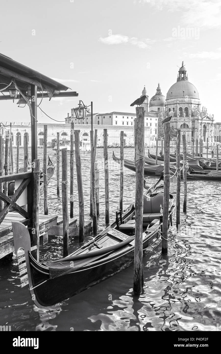 Les gondoles amarrées et l'église Santa Maria della Salute à Venise, Italie. Le noir et blanc Banque D'Images