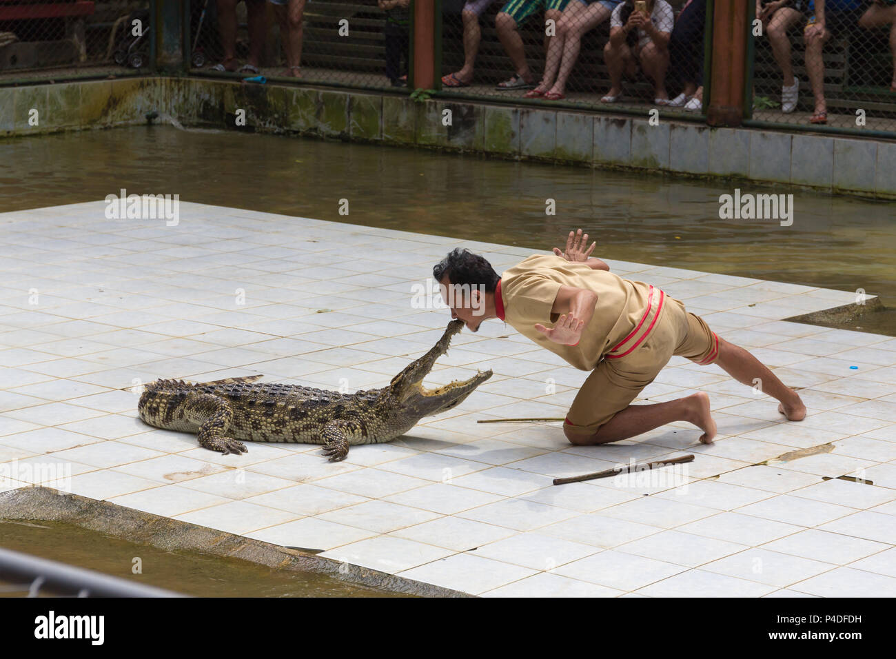 PROVINCE DE Surat Thani, Thaïlande, le 12 février : Le crocodile show à Namuang Safari park Koh Samui le 12 février 2018 dans la province de Surat Thani THAÏLANDE Banque D'Images