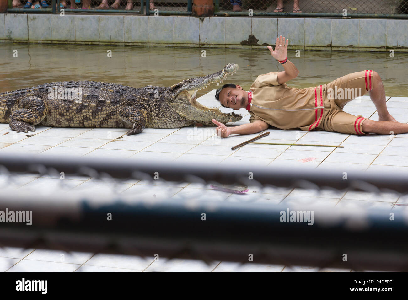 PROVINCE DE Surat Thani, Thaïlande, le 12 février : Le crocodile show à Namuang Safari park Koh Samui le 12 février 2018 dans la province de Surat Thani THAÏLANDE Banque D'Images