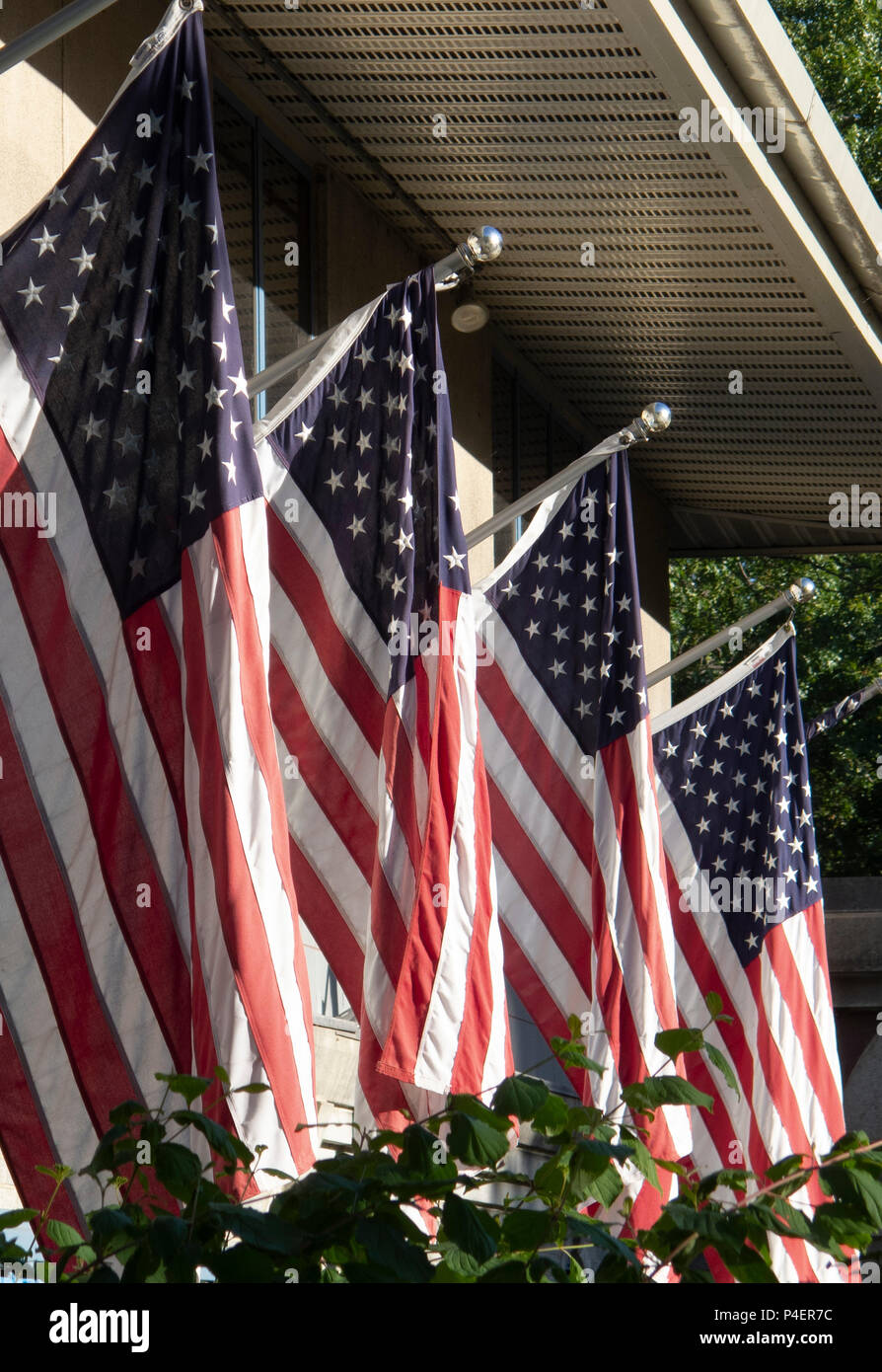 Drapeaux américains Banque D'Images