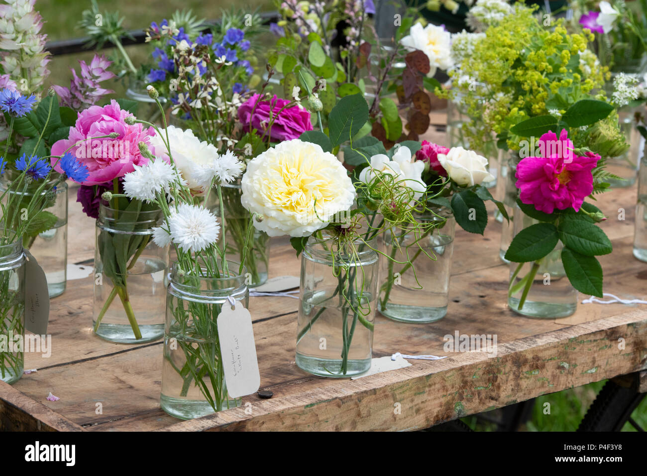 Les fleurs coupées dans des bocaux en verre affichage à un flower show. UK Banque D'Images