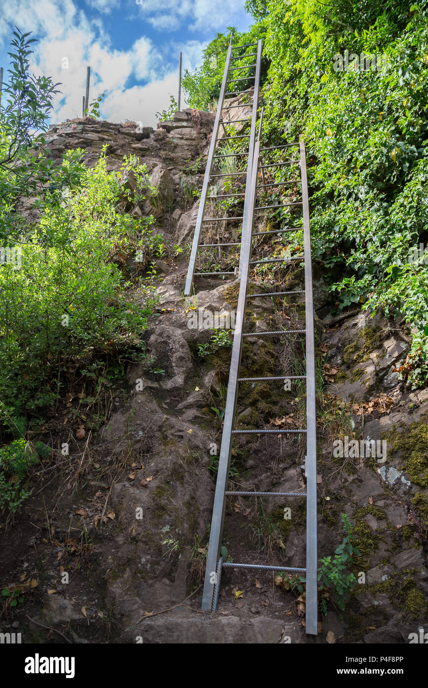 Calmont randonnées sentier entre Bremm et Eller à la Moselle. Banque D'Images