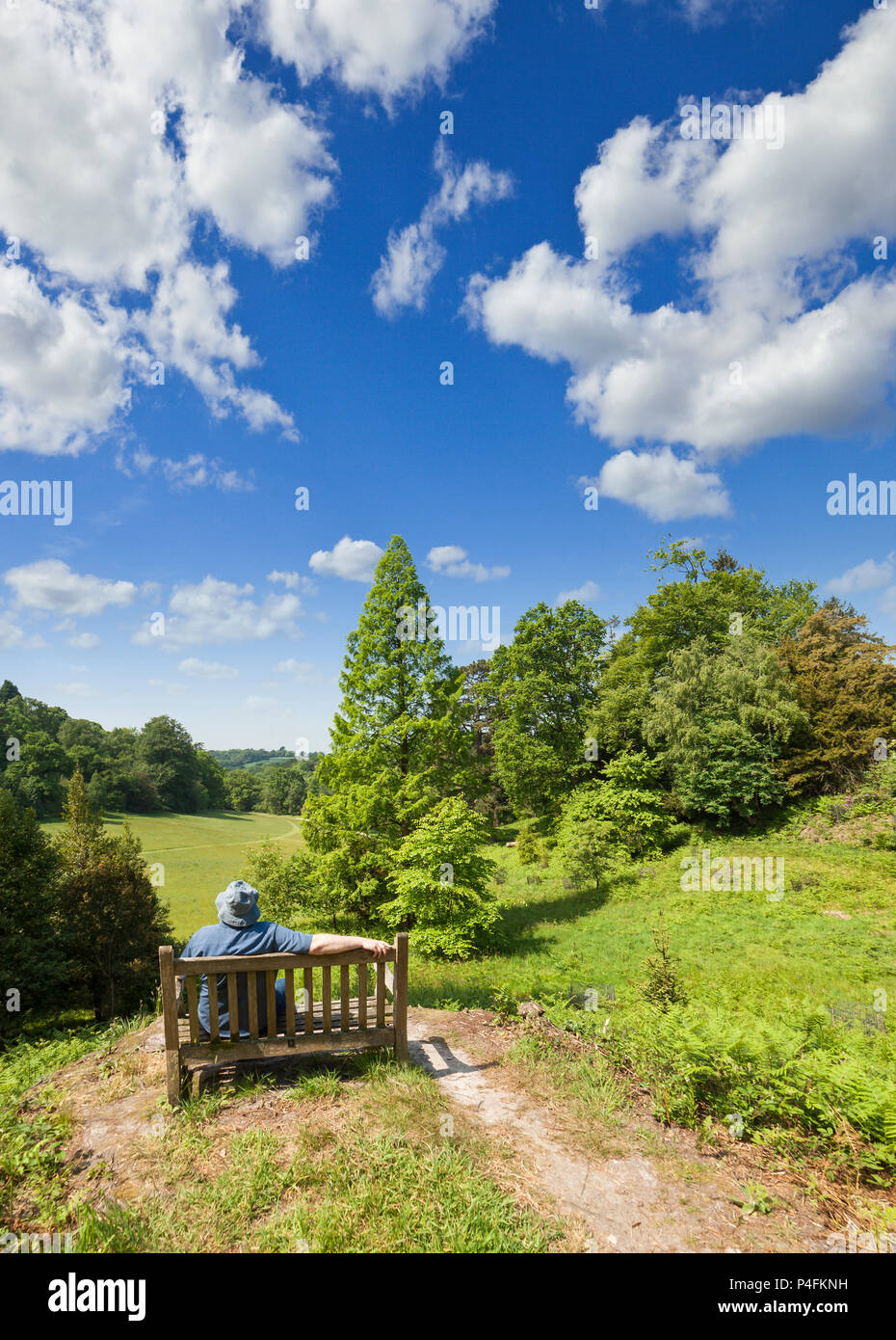Homme assis sur un banc avec vue sur une vallée verdoyante. Banque D'Images