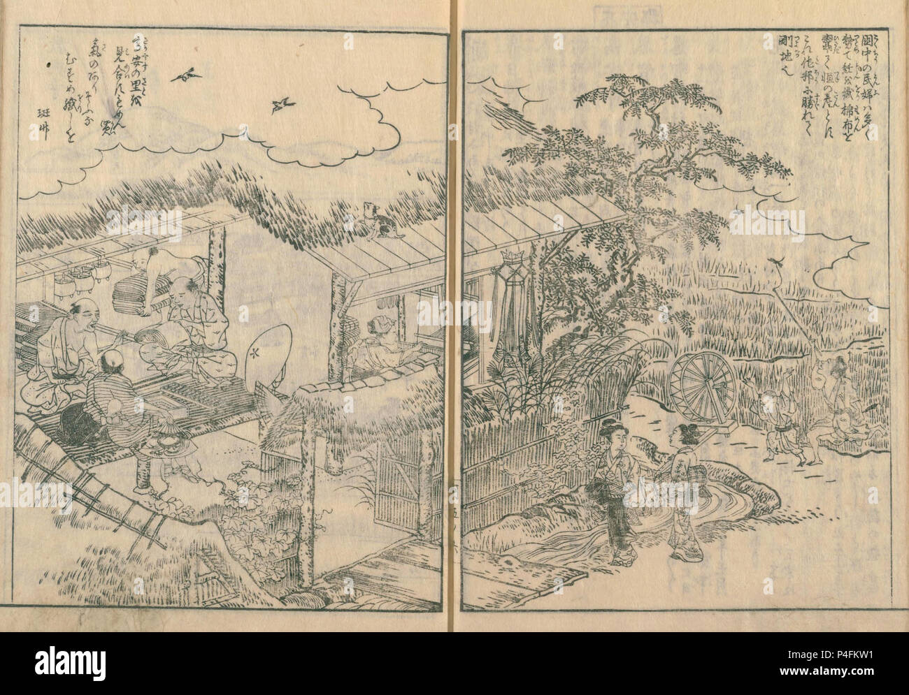 Agriculteur produisant du coton, illustration de Kawachi meisho zue, publié en 1801, Collection privée. Banque D'Images