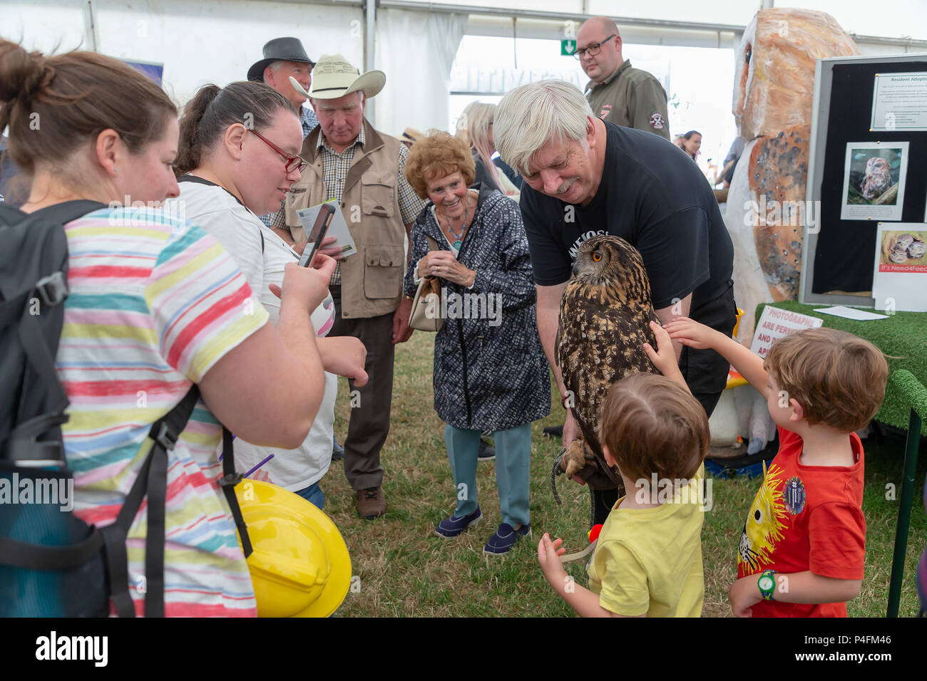 19 & 20 Juin 2018 - Le Cheshire Showground de Clay House Farm Flittogate Lane, Londres a accueilli la 2018 Cheshire Comté Royal Show. Le spectacle est ab Banque D'Images