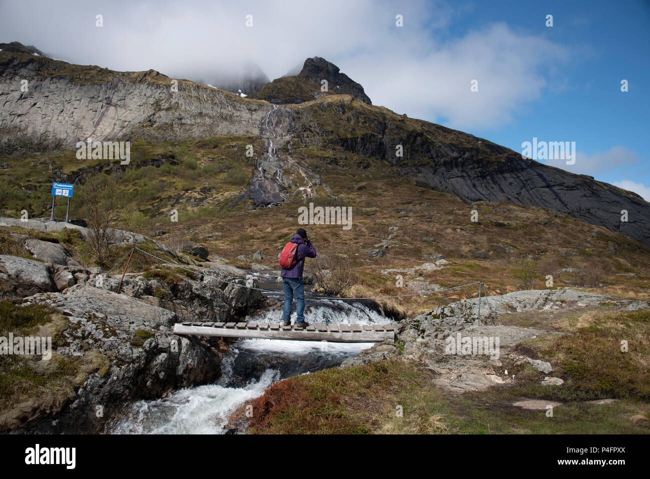 La capture de la scène, Moskenes, îles Lofoten, Norvège. Banque D'Images