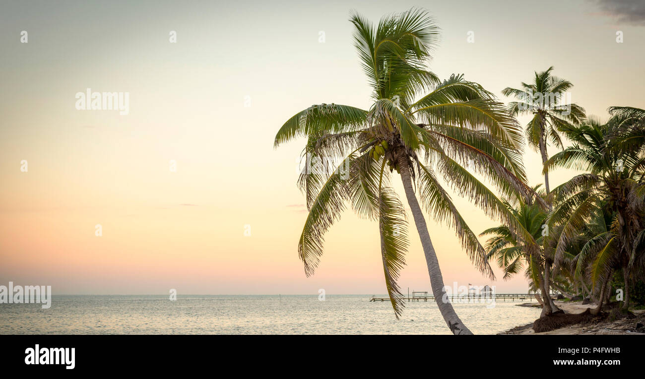 Scène paisible plage de sunset with copy space Banque D'Images