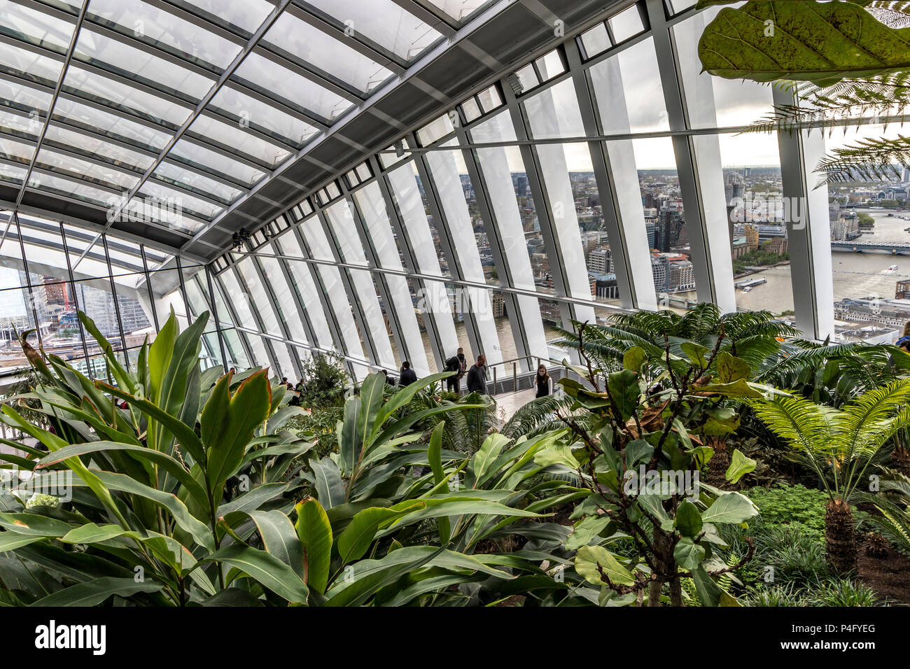 Le jardin du ciel, une galerie d'observation publique au sommet de 20 Fenchurch Street , également connu sous le nom de Walkie Talkie Building, dans la ville de Londres, Royaume-Uni Banque D'Images