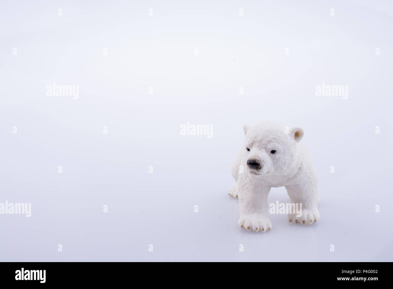 Modèle d'ours blancs sur fond blanc Banque D'Images