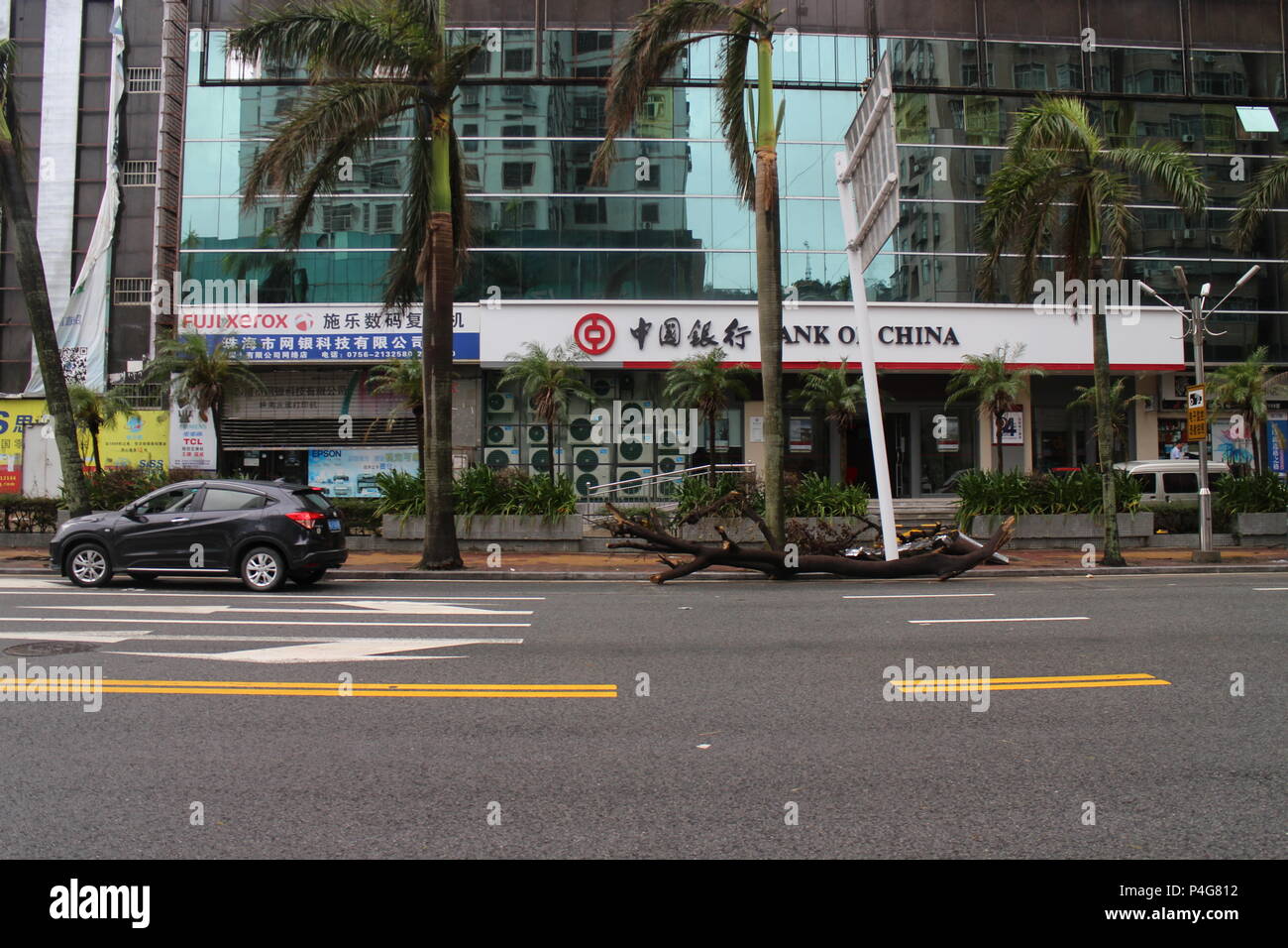 Zhuhai, Guangdong, Chine. Août 28, 2017. La rupture d'un arbre en face de la Banque de Chine.Hato typhon les côtes du sud de la Chine et le centre économique de Hong-Kong et Macao, tuant 12 personnes et causant de graves dégâts matériels estimés à US$ 1,42 milliards de dollars. Ces photos ont été prises dans le quartier résidentiel et commerçant de Wanzai sha à Zhuhai, une ville côtière à la frontière avec Hong Kong. Il montre de façon concrète l'étendue des destructions, mais aussi la capacité de résilience de Zhuhai, habitants qui ont immédiatement repris leurs activités quotidiennes dès que le typhon s'est calmée. (Crédit Banque D'Images