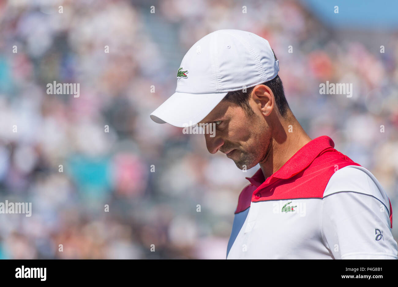 Le Queen's Club, London, UK. 22 Juin, 2018. Jour 5 quart de finale sur le court central avec Adrian Mannarino (FRA) vs Novak Djokovic (SRB). Credit : Malcolm Park/Alamy Live News. Banque D'Images