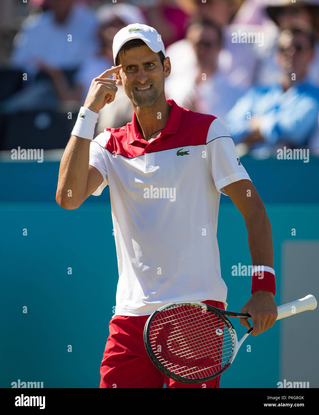 Queens Club, London, UK. 22 juin 2018. Au cours de la masculin du QF à Fever Tree Championships (Queens Tennis Club 2018) Jour 7 au Queen's Club, Londres, Angleterre le 22 juin 2018. Photo par Andy Rowland. Crédit : Andrew Rowland/Alamy Live News Banque D'Images
