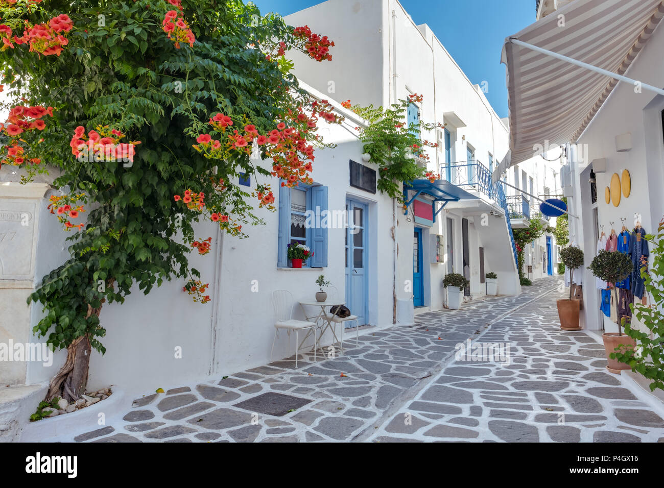 Vue typique d'une rue étroite dans la vieille ville de Parikia, Paros, Cyclades, Grèce Banque D'Images
