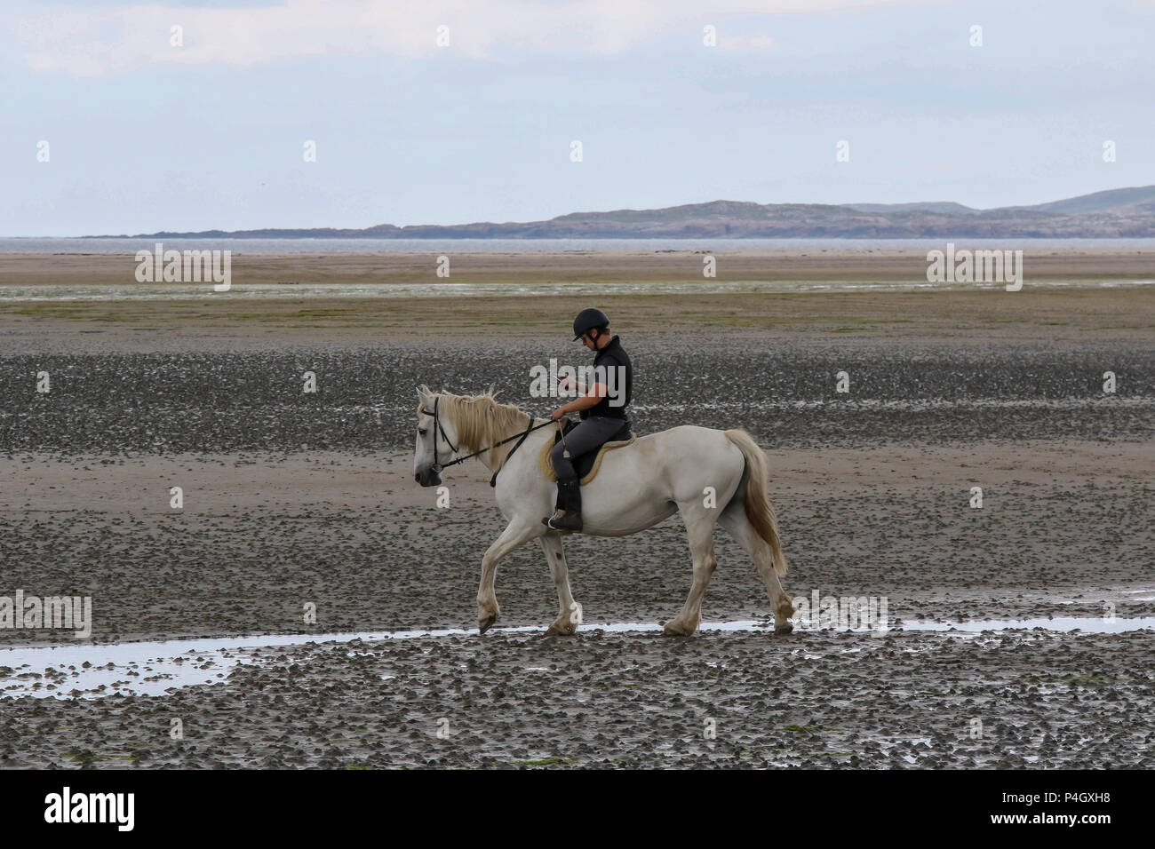 Personne montant un cheval et l'aide d'un téléphone mobile au comté de Donegal Irlande Dunfanaghy Banque D'Images