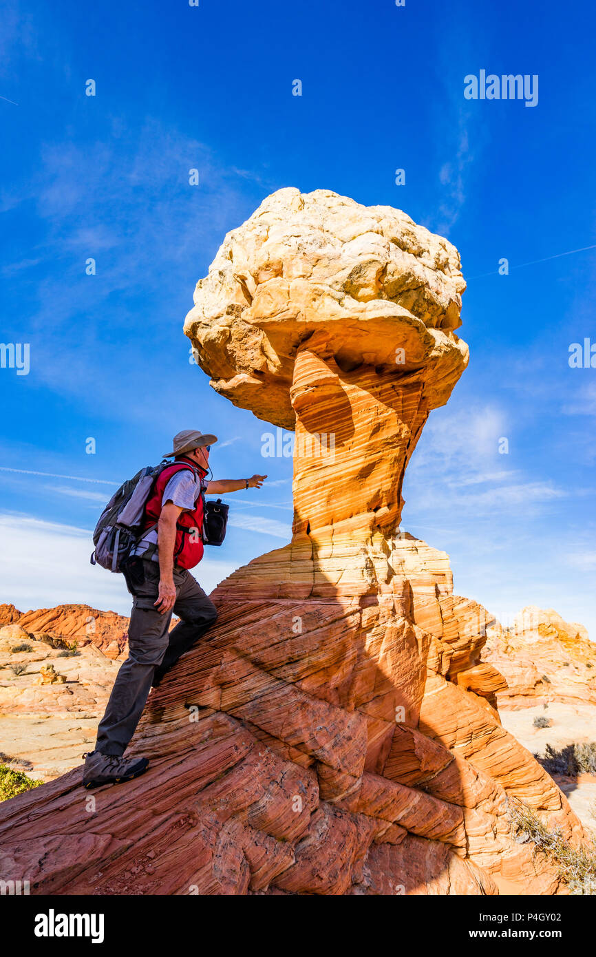 L'homme à veste rouge avec espièglerie est atteint pour un grès imposants ice cream cone Sud formation Coyote Buttes Vermilion Cliffs National Monument Banque D'Images