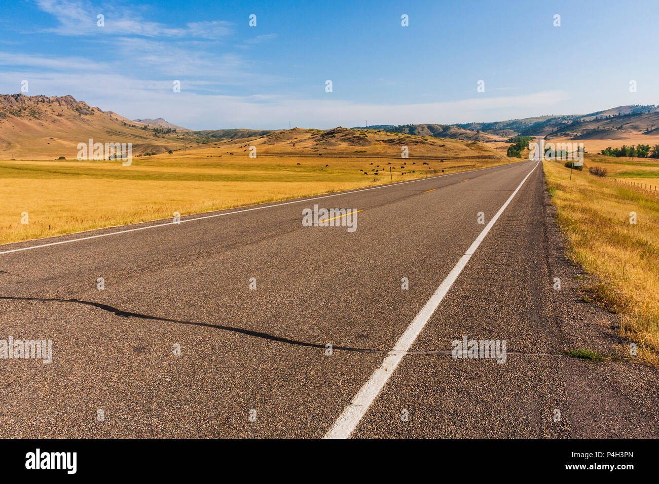 287 route panoramique dans le Montana, entre Butte, Montana et le parc national des Glaciers dans le Nord-Ouest du Montana. Banque D'Images