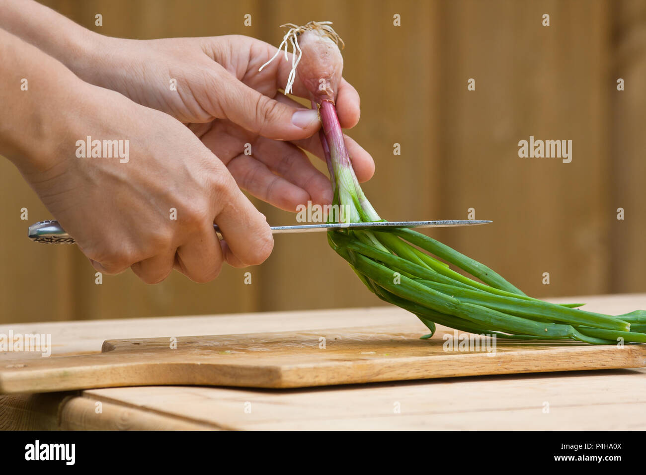 Les mains avec de l'oignon vert frais prêt à couper sur la planche à découper en bois Banque D'Images
