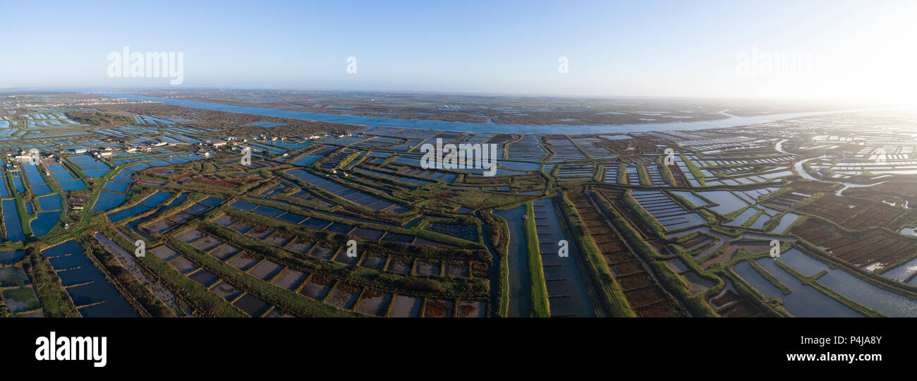 France, Saintonge Charente Maritime, d'Arvert Seudre, marais et rivière Seudre (vue aérienne) // France, Saintonge, Charente-Maritime (17), Arvert, marais Banque D'Images