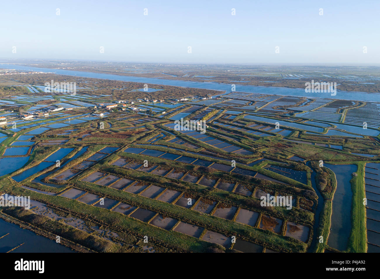France, Saintonge Charente Maritime, d'Arvert Seudre, marais et rivière Seudre (vue aérienne) // France, Saintonge, Charente-Maritime (17), Arvert, marais Banque D'Images