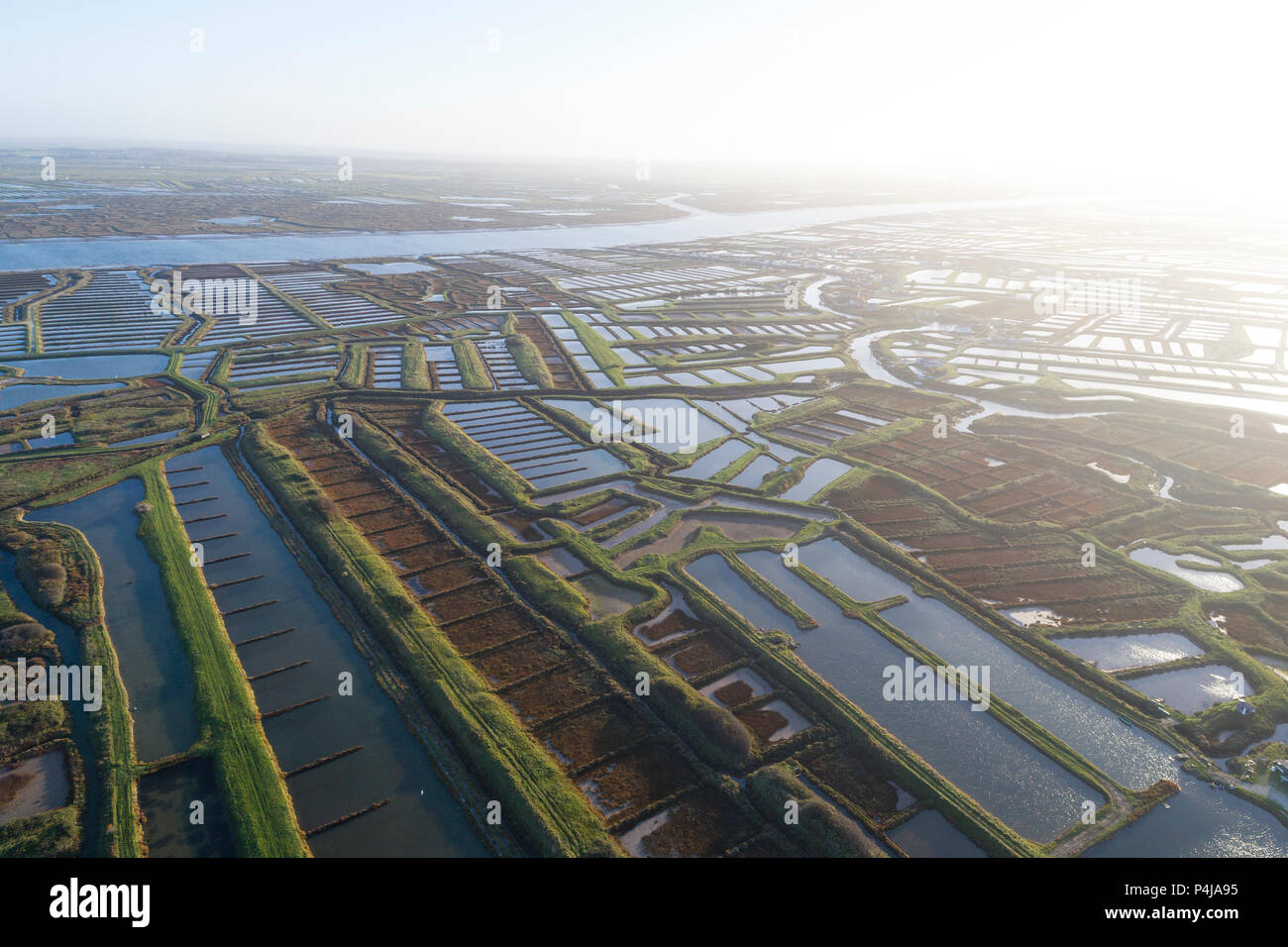 France, Saintonge Charente Maritime, d'Arvert Seudre, marais et rivière Seudre (vue aérienne) // France, Saintonge, Charente-Maritime (17), Arvert, marais Banque D'Images