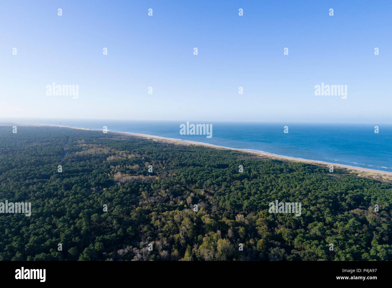 France, Charente Maritime, côte de beauté, la pointe de la Coubre, La Tremblade, dunes de sable et de la Côte sauvage (la Côte sauvage) (vue aérienne) // France Banque D'Images