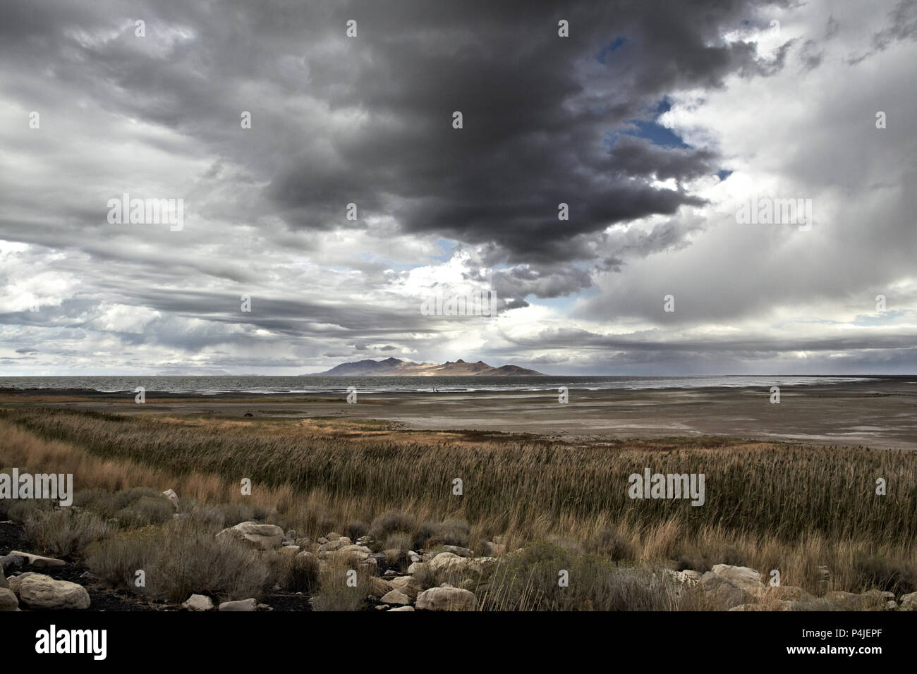 Antelope Island, State Park, Grand Lac Salé en hiver. USA, Utah Banque D'Images