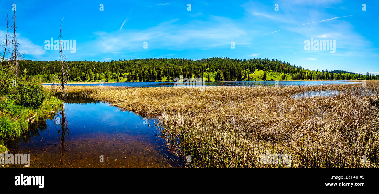 Lac de Kidd le long de la route 5A, le Kamloops-Princeton l'autoroute, entre les villes de Merritt et de Princeton en Colombie-Britannique, Canada Banque D'Images