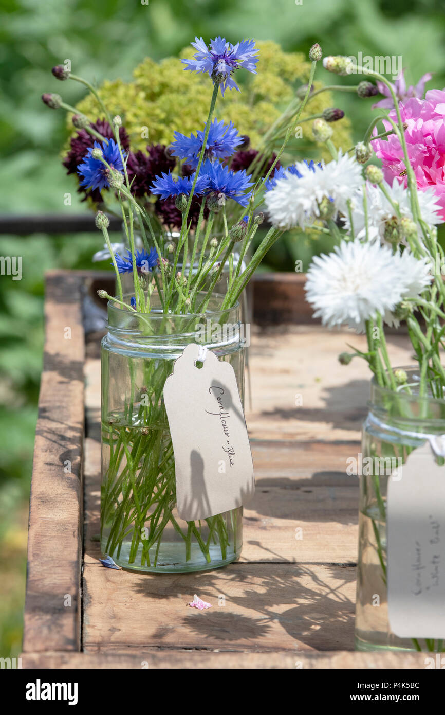 Les fleurs coupées dans des bocaux en verre affichage à un flower show. UK Banque D'Images