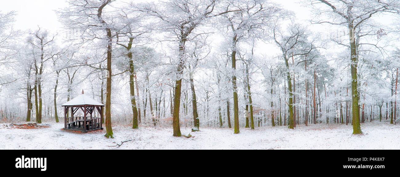 Paysage d'hiver, Bratislava Slovaquie des Carpates Banque D'Images
