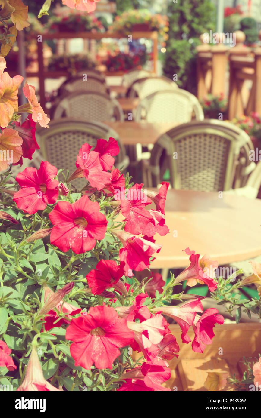 Tables de café à déguster dans une journée ensoleillée. Fleurs en restaurant en plein air. Paris, France. Banque D'Images Tables de café à déguster dans une journée ensoleillée. Fleurs en restaurant en plein air. Paris, France. Banque D'Images